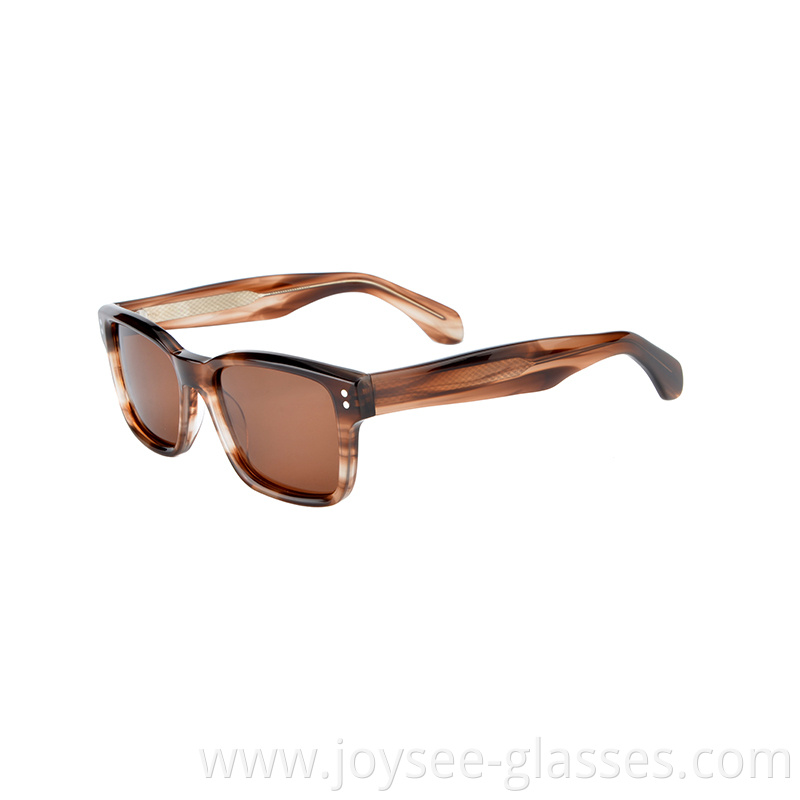 Demi Acetate Sunglasses 4